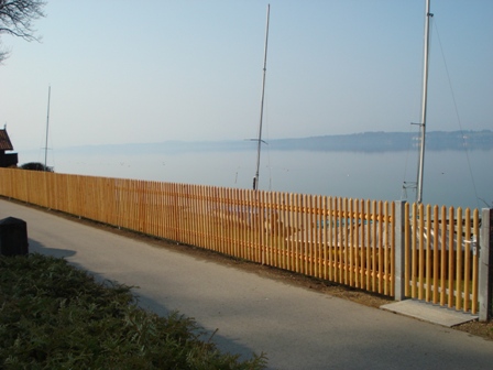 Zaun1